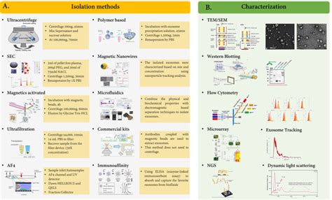 Different Techniques Used For Isolation Characterization And Analysis