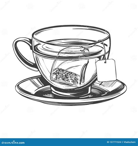 Cup Of Tea With Brewed Tea Bag Isolated On White Background Hand Drawn