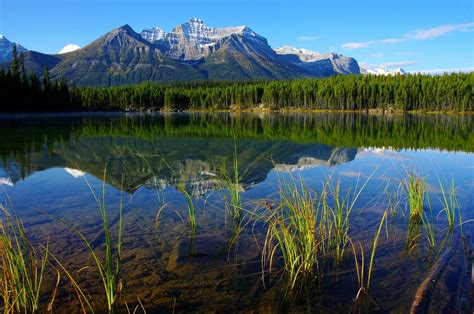 Sky Mountains River Water Reflection Forest Grass Landscape Nature