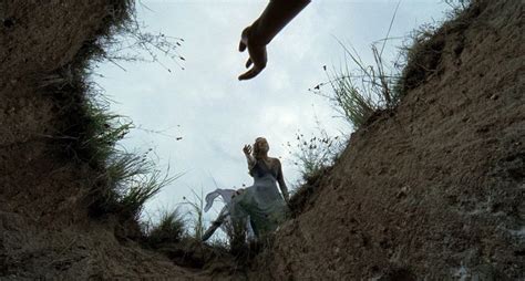 Tree Of Life By Terrence Malick Cinematography Film Stills Tree Of Life