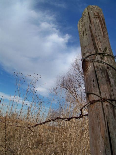 Rustic Barb Wire Fence Post Post And Wire Old Fences Pinterest Country Fences Rustic