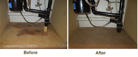 It takes paint well and won't rot. How to Replace Rotted Wood Under a Kitchen Sink | Dengarden