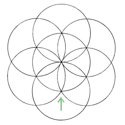 Drawing The Flower Of Life Step By Step Firehousesubsvannuys