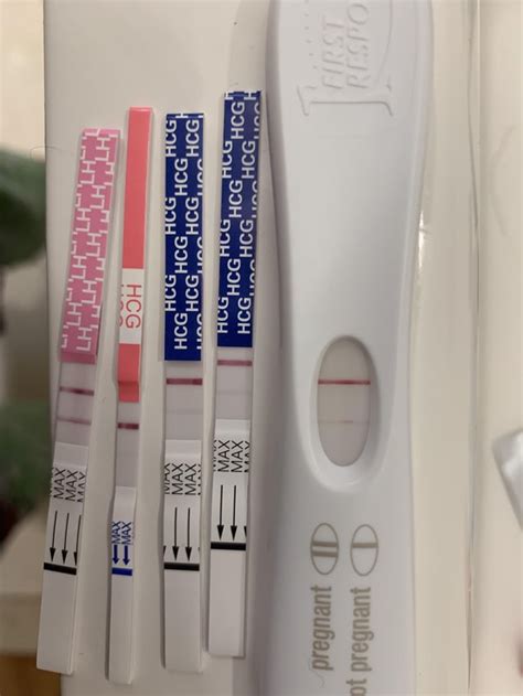 10 Dpo Frer Pregmate Hcg And Lh And Clinical Guard Hcg For