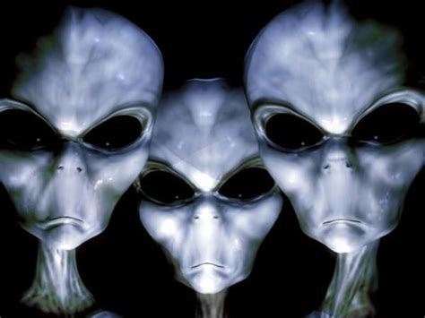 Different Types Of Alien Species Metaphysical Journey Amino