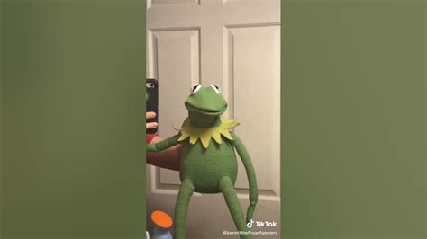 Kermit The Frog Tik Tok Compilation Part 1 Good Videos Only Youtube