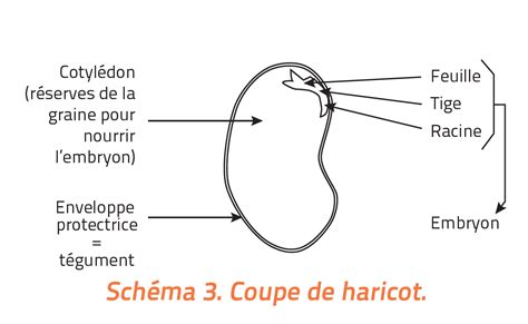 Préserver La Biodiversité Par Lexpérimentation Et La Plantation De