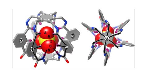 A Hexapodal Capsule For The Recognition Of Anions Journal Of The