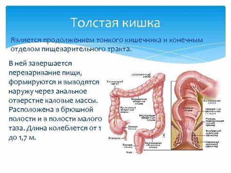 Резекция тонкий кишечник диета