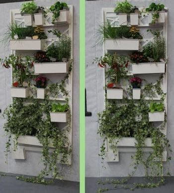 Con un po' di tempo e la giusta dose di organizzazione porterai sulla tavola verdure ed ortaggi sempre freschi. Come fare un orto verticale sul balcone. Foto e istruzioni ...