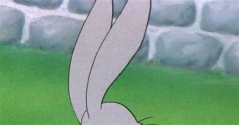 Do These Rabbit Ears Belong To Bugs Bunny Or Not