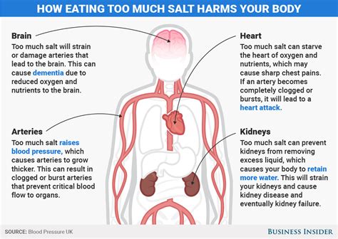 What Can Happen When You Eat Too Much Salt Business Insider