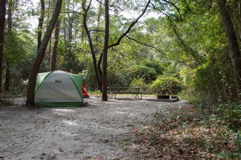 Carolina Beach State Park Campground Outdoor Project