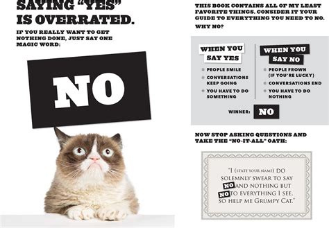 Grumpy Cat No It All Everything You Need To No