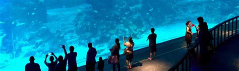 Singapore Universal Studios With Sea Aquarium Combo Deals