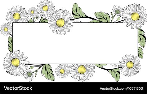 Daisy Flower Border Design