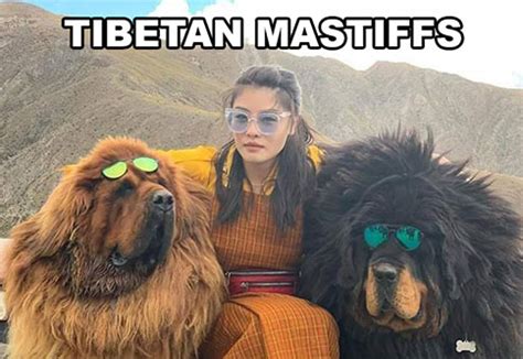 Backhand index pointing down was approved as part of unicode 6.0 in 2010 under the name white down pointing backhand index and added to emoji 1.0 in 2015. 27 Fresh Memes To Wind Down Your Day - Funny Gallery ...