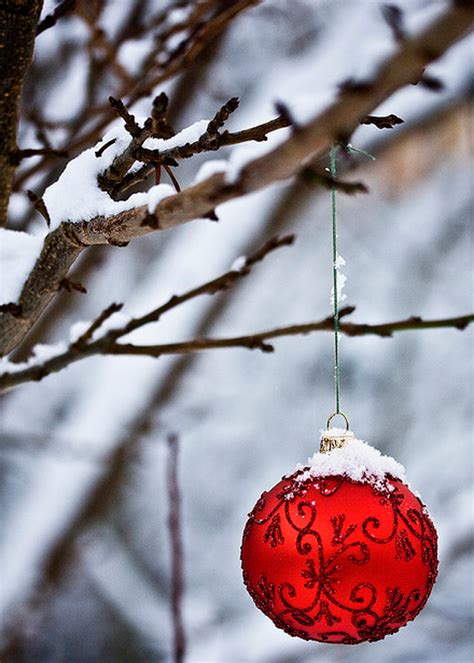 25 Awesome Christmas Ornaments For Outdoor Decorations