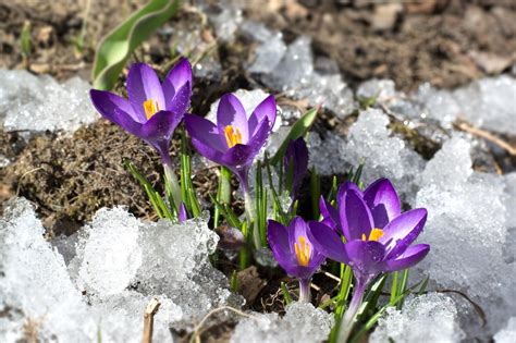Happy First Day Of Spring — Guelich Capital Management Llc