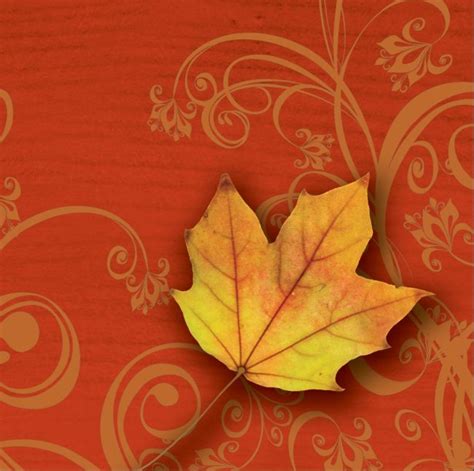 Autumn Gust Beverage Napkins Party At Lewis Elegant Party Supplies