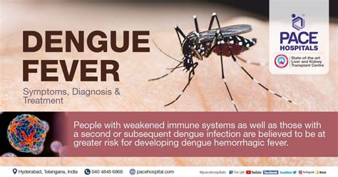 Dengue Fever Symptoms Causes Diagnosis And Treatment 2023