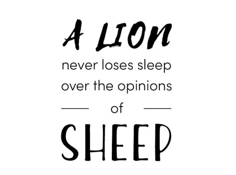 A Lion Never Loses Sleep Over The Opinions Of Sheep Quote On White
