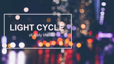 Light Cycle Of Daily Life How Important Is Light In Our Lives Youtube