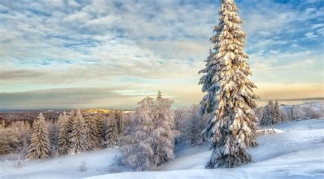 3440x768 Winter Landscape With Snow Covered Trees 3440x768 Resolution