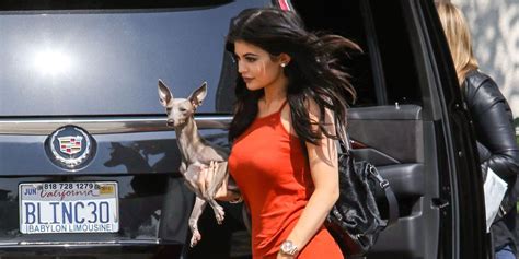 Kylie Jenner New Pet Rabbit Named Bruce Kylie Jenner Pets
