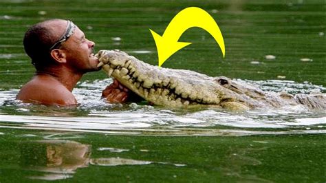 Fisherman Rescues Injured Crocodile 20 Years Later This Happened