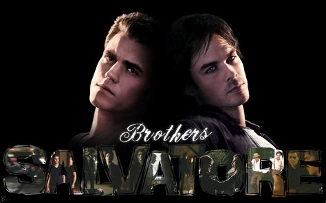 Stefan And Damon Damon And Stefan Salvatore Wallpaper 17122408 Fanpop