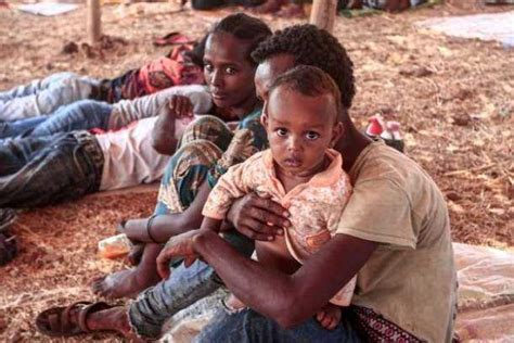 As Fighting In Ethiopia Escalates Jesuits Urge Humanitarian Access