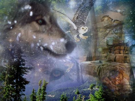 Owl Wolf Dream Spirit Animal Wisdom Animal Art Spirit Animal Wolf