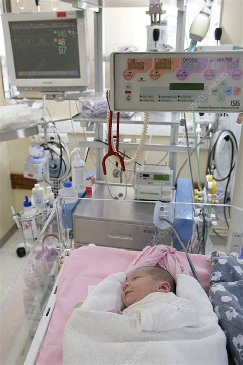 Resuscitation Newborn Baby Stock Image C0153821 Science Photo