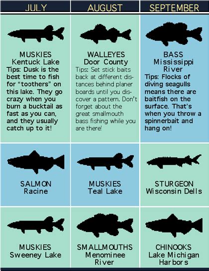 Wisconsin Fish Identification Chart