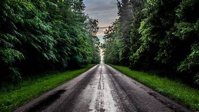 Grass Road Between Trees Field Nature Wallpapers