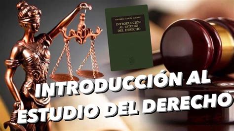 Descubre La Importancia De La Bilateralidad En Derecho Todo Lo Que