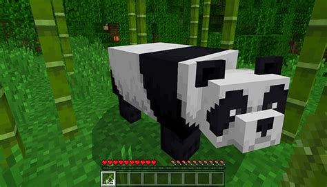 How To Tame Pandas In Minecraft 2023 Simple Guide 2023