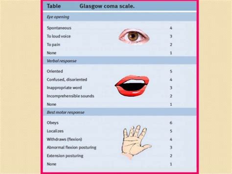 Modified Glasgow Coma Scale For Infants And Children Dr Trynaadh