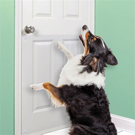 Large Vinyl Door Guard For Dog Scratching 33 X 35