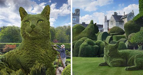 This 75 Year Old Artist Creates Edits Of Bushes In Honor Of His