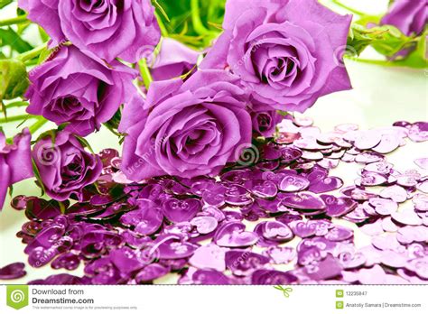 Purple Roses And Hearts Royalty Free Stock Photography