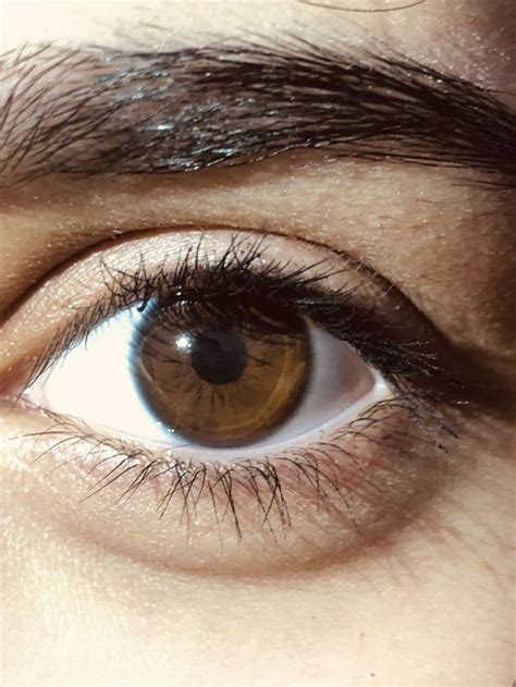 Chocolate Brown Eye Photography Eye Color Eyes