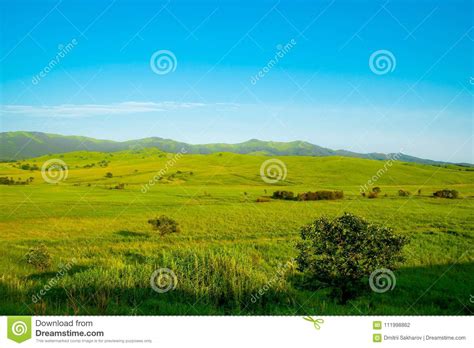 Green Hills On A Sunny Day In Primorye Russia Stock Photo Image Of