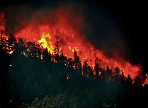 Fire Storm How Wildfire Will Shape Our Future Rewilding