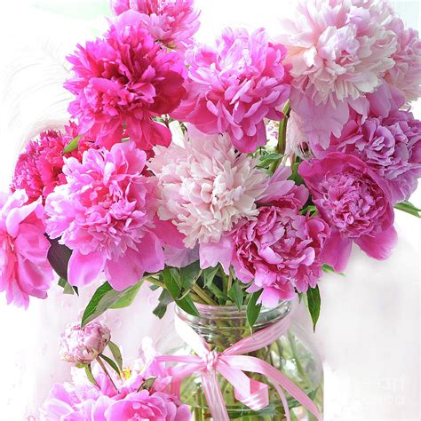 Bouquet Of Pink Peony Flowers In White Jar Romantic Shabby Chic Peony