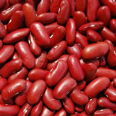 Ubat kami telah menimpakan di kaki palsu, heroin dalam kacang. Organic Red Kidney Beans - Free UK Shipping - Sizes - 500g ...