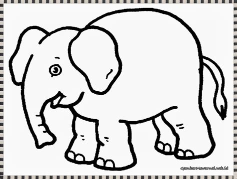 Bagi anda yang berminat silahkan download saja gambar sketsa mewarnai binatang gajah yang anda. Download Gambar Sketsa Hewan Jerapah | Sketsabaru