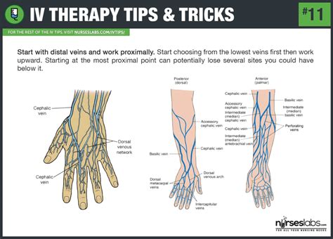 50 Iv Therapy Tips And Tricks The Ultimate Guide Iv Therapy