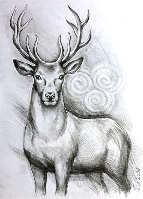 Original Deer Art Stag Pencil Drawing Graphite Home Decor Etsy Deer